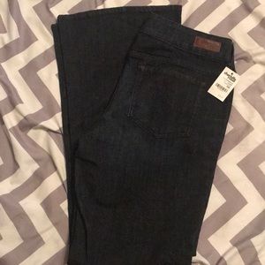 Charlotte Russe Low rise flare jeans NWT